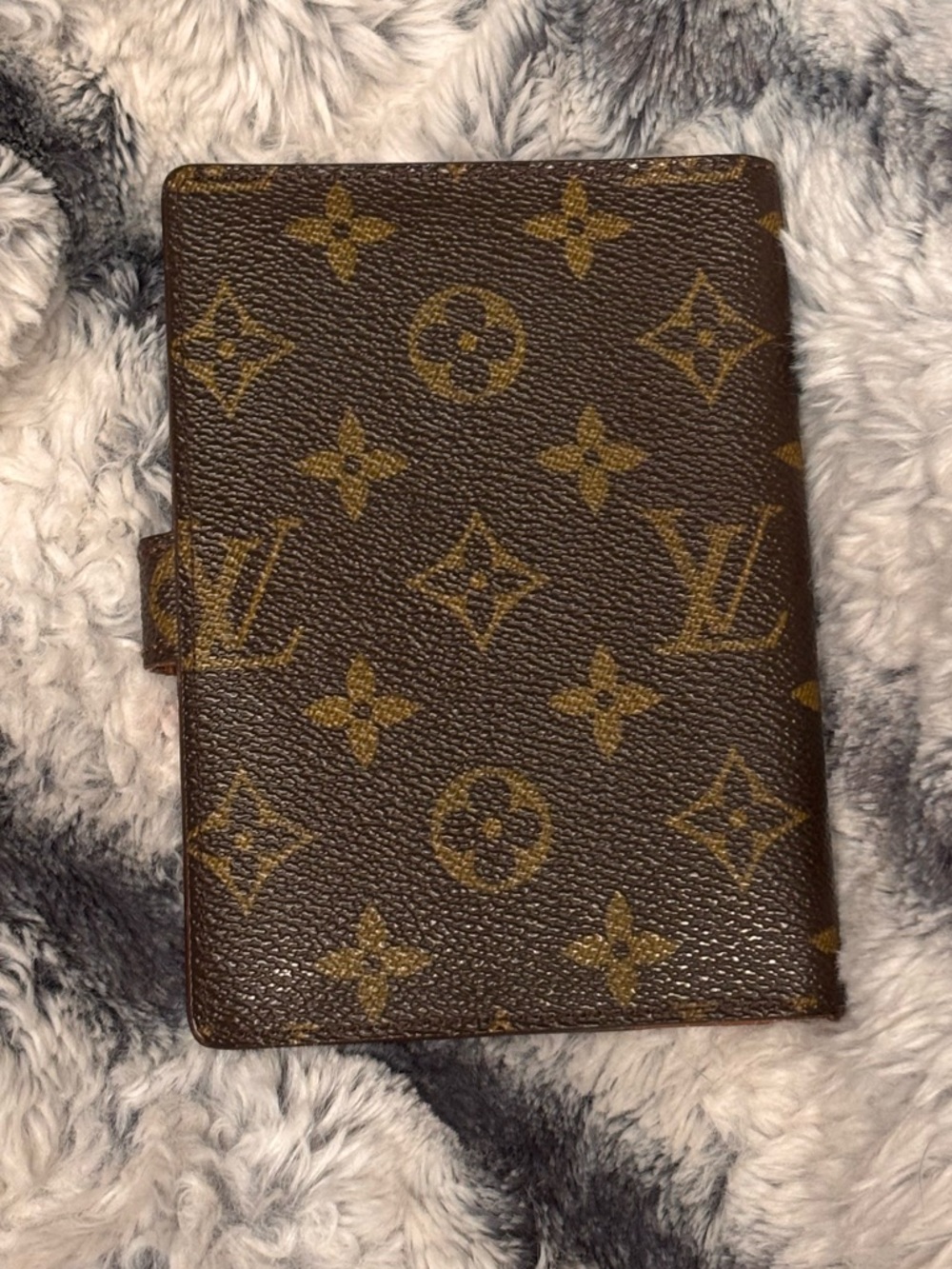 Louis Vuitton Classic Monogram PM Agenda Cover - Picture 4 of 12